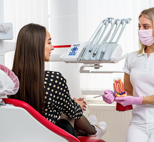 dentist holding teeth model and explaining root canal treatment procedure to patient